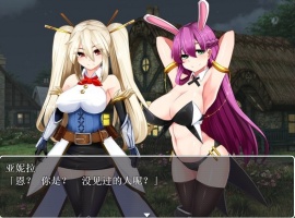 【RPG汉化】银乱的圣骑士HolyKnightBitch【+PC】完整汉化版+全CG【600M】【补档】-illusion中国 - - i社游戏-illusion中文汉化官方网站