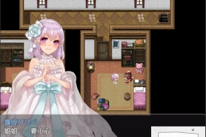 【PC/2D/精品RPG/汉化/全CV】阿尔迪亚塔 Tower of Ardia 精翻汉化版+存档【1.2G】-illusion中国 - - i社游戏-illusion中文汉化官方网站