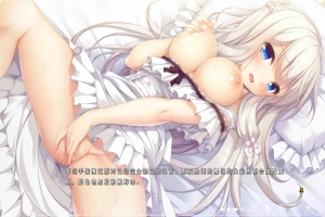 [ADV/汉化] 候鸟的梦 Pieces 渡り鳥のソムニウム 汉化版电脑 [4.4G]-illusion中国 - - i社游戏-illusion中文汉化官方网站