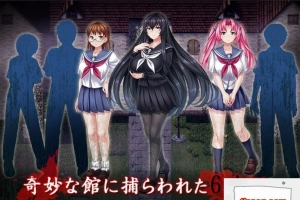 【PC/2D/RPG/汉化/全CV】於某館中 或る館にて 精翻汉化版+全存档【1G】-illusion中国 - - i社游戏-illusion中文汉化官方网站
