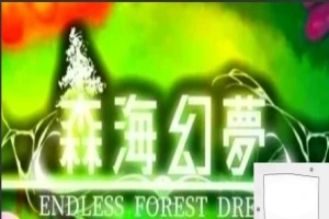 【2D/肉鸽ACT/中文】森海幻梦 V20230821 STEAM官方中文步兵版电脑【300M】-illusion中国 - - i社游戏-illusion中文汉化官方网站