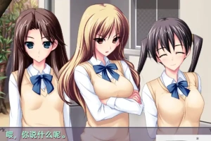 [拔作ADVGPT3.5汉化】[竹子社] 毎日がM！ 每天都是M ![电脑3.54G]-illusion中国 - - i社游戏-illusion中文汉化官方网站