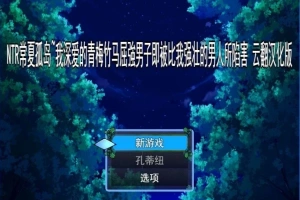 【PC/2D/RPG/汉化】NTR常夏孤岛~我深爱的青梅竹马 云翻汉化版【500M】-illusion中国 - - i社游戏-illusion中文汉化官方网站
